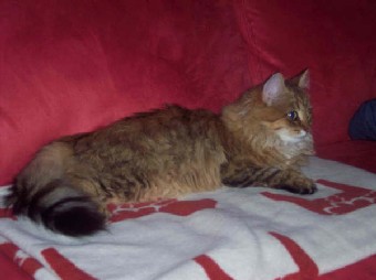 Nellie 6 .JPG